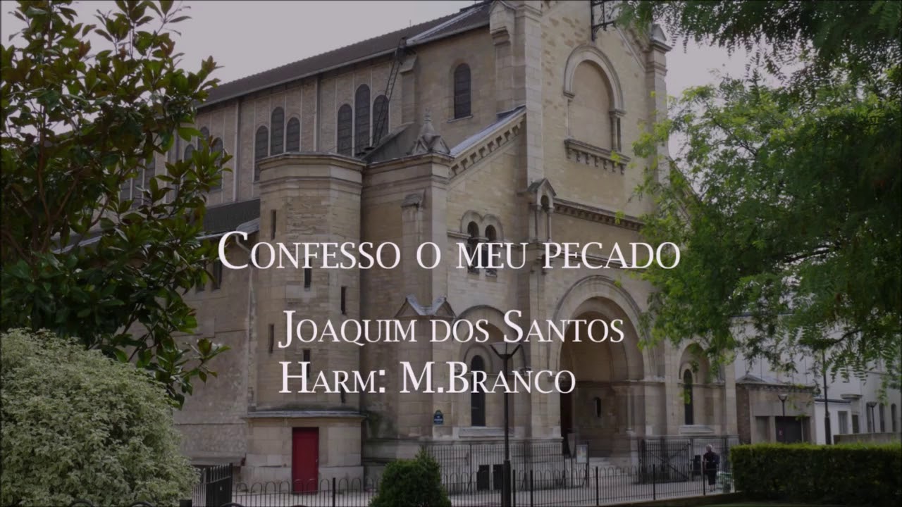 Confesso o meu pecado