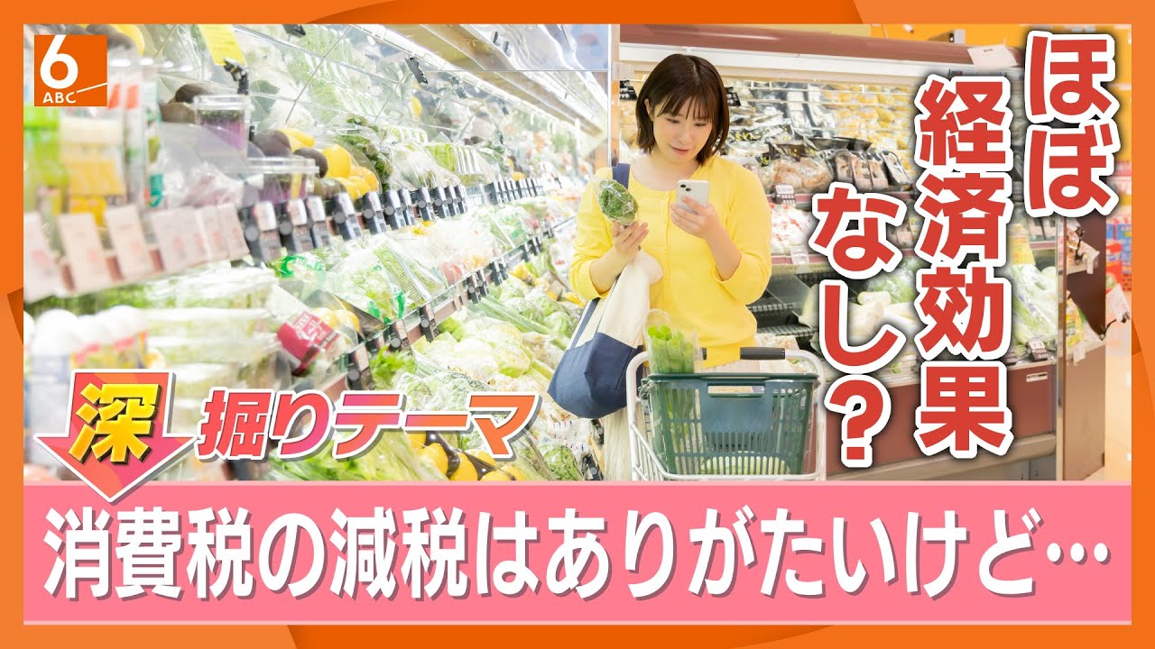 消費税減税は本当に実現される？　衆院選に向けて各党掲げるが…さらなる物価上昇を招くおそれ　より効果的な経済対策は【きょうの深掘り】