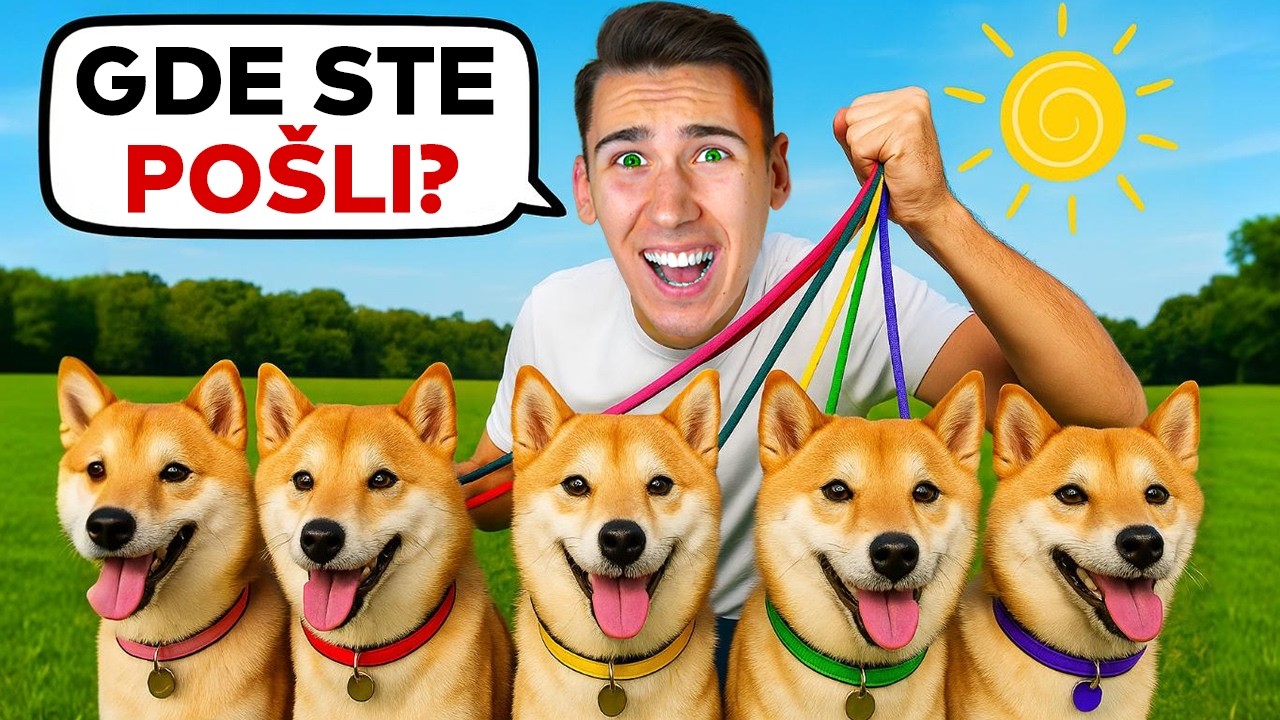 ŽIVIM SA 100 PASA NA 24 SATA!