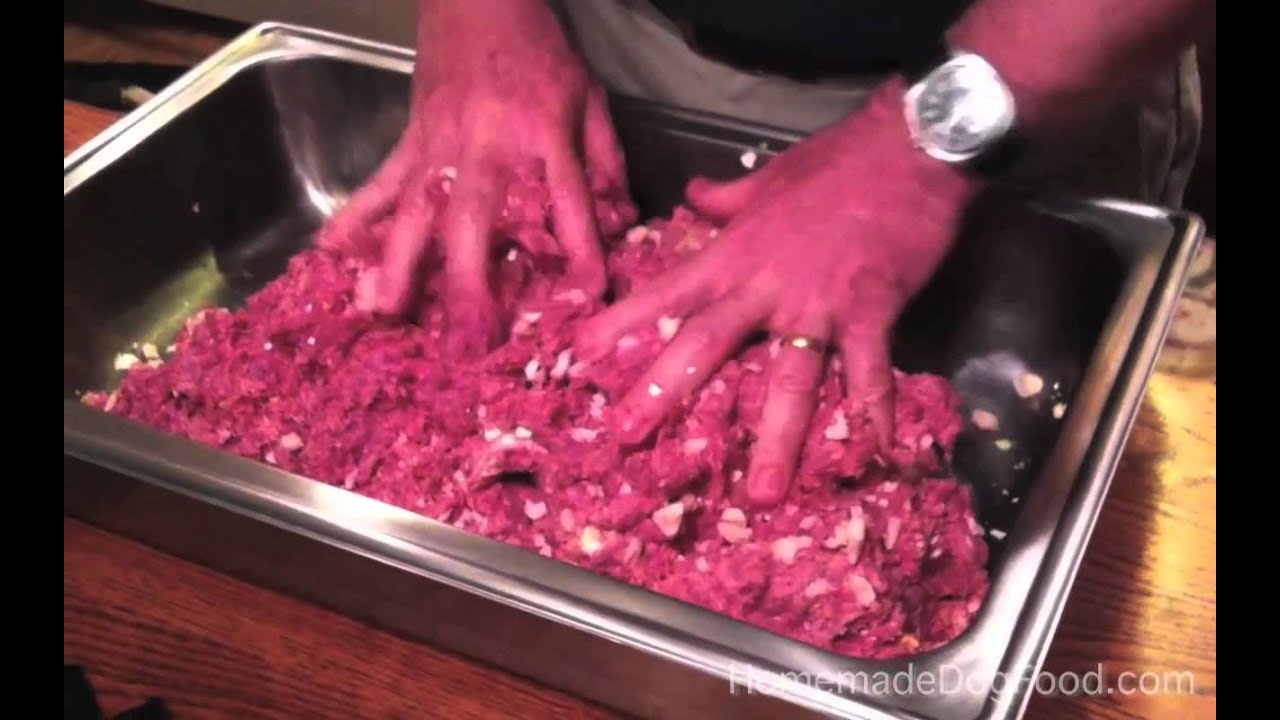 Starve Out Yeast Dog Food Recipe