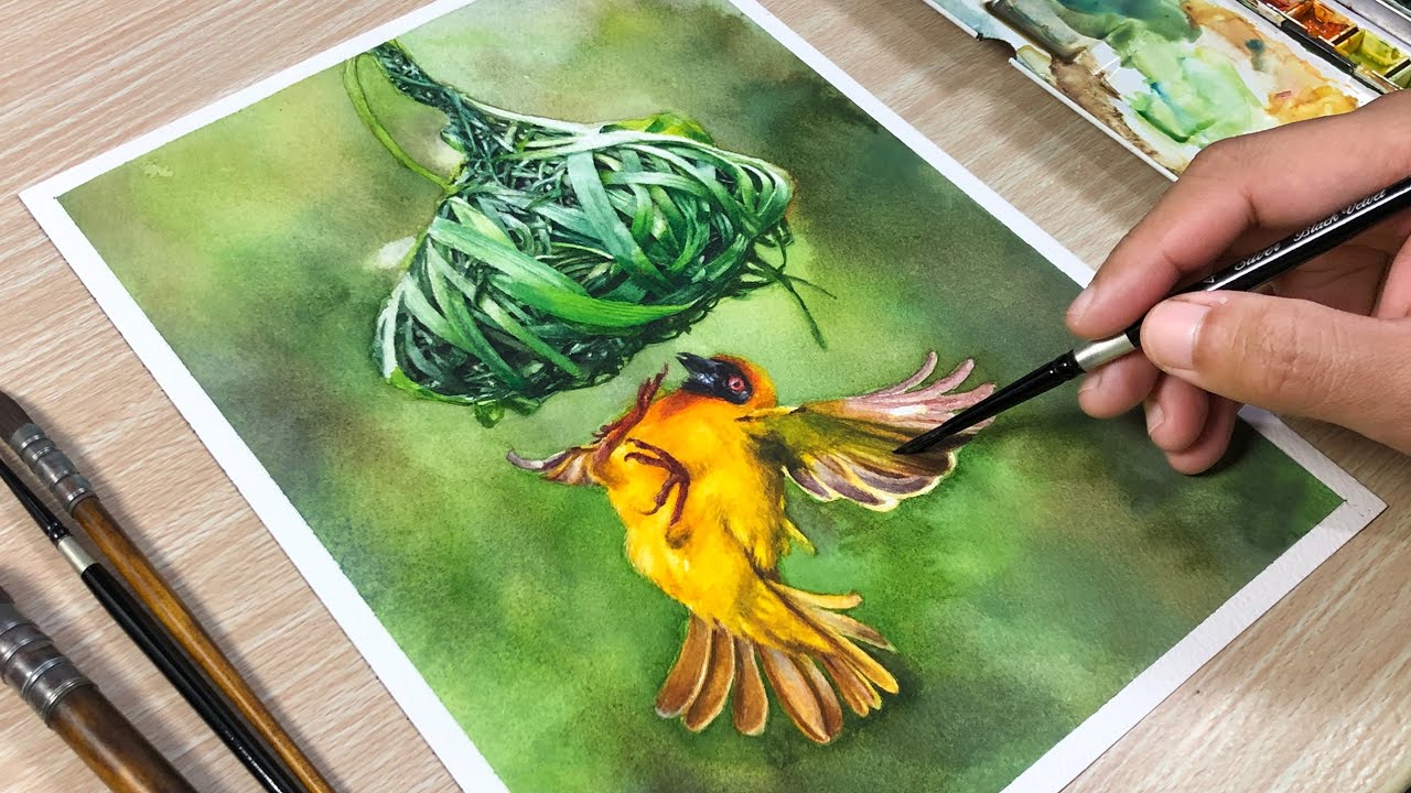 Bird Build Nest in Watercolor Painting