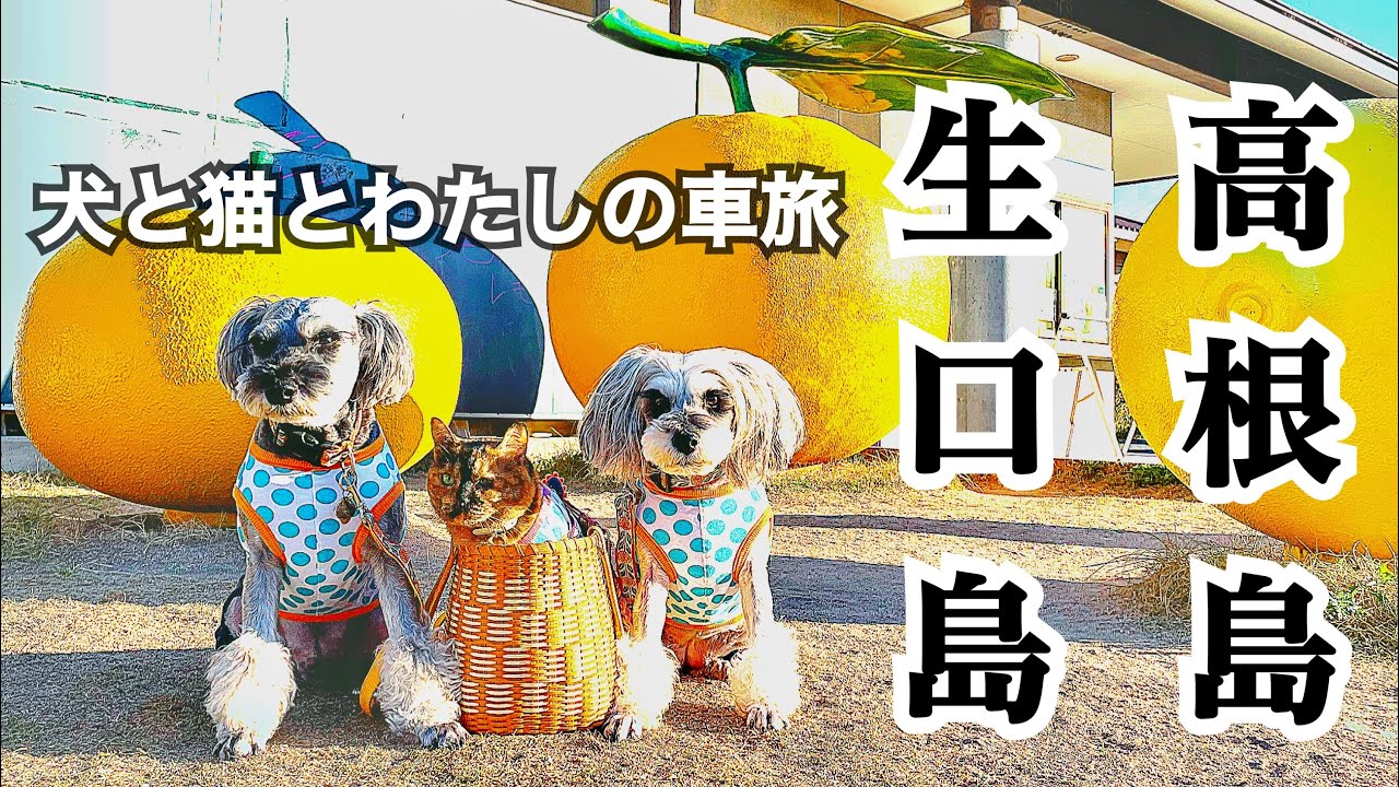 【車中泊の旅in芸予諸島⑦】犬と猫とわたしの車旅〜しまなみ海道 生口島・高根島〜