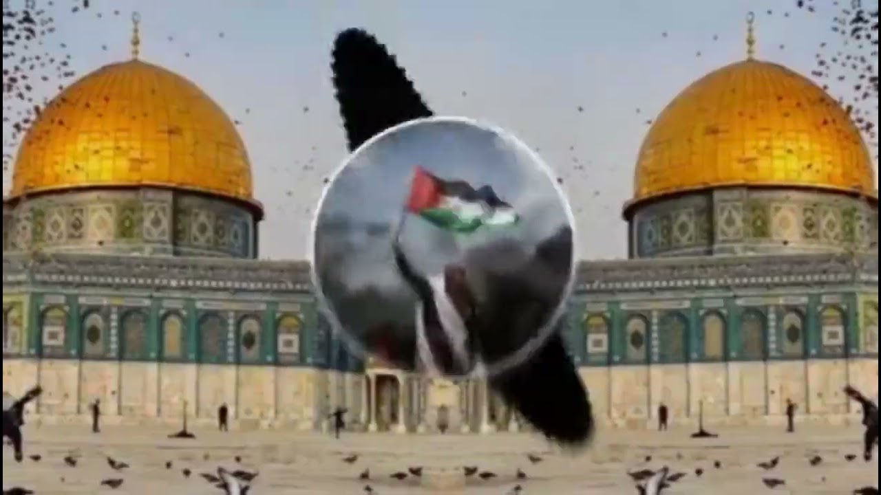 Jis Din Hum Maidan Main Aayenge 🇵🇸 | Phalastine | 🇵🇸 Remix Slowed + Reverb#palastine