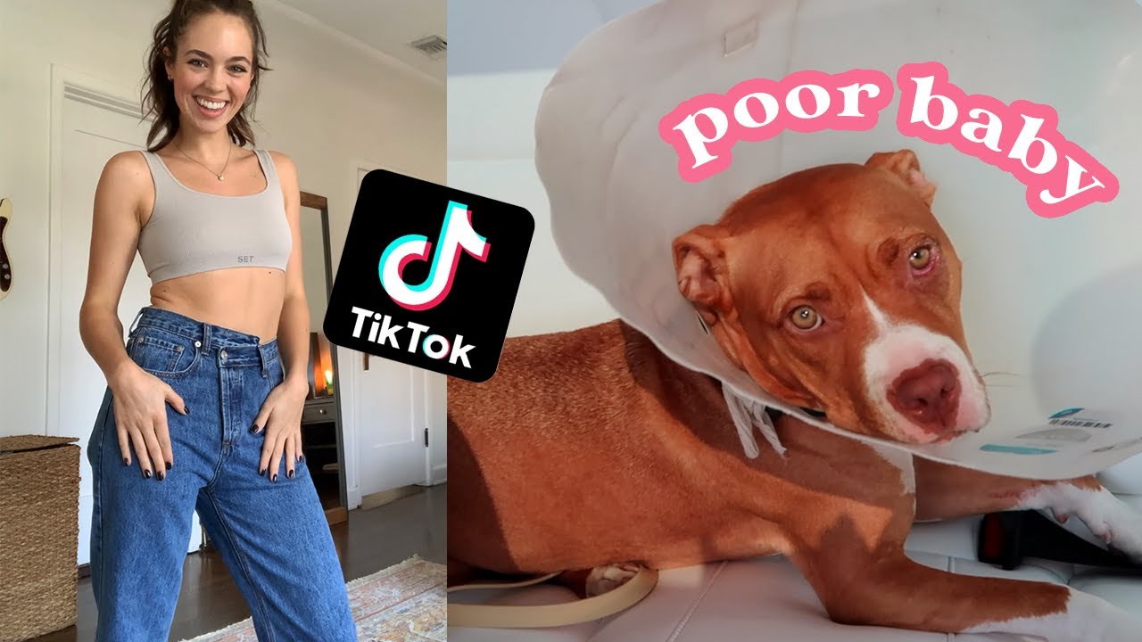 *vlog!* I JOINED TIKTOK + MY DOG IS HIGH