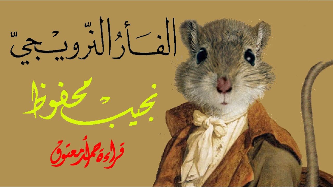الفأر النرويجي .. نجيب محفوظ .. قصة رمزية .. كتاب مسوع
