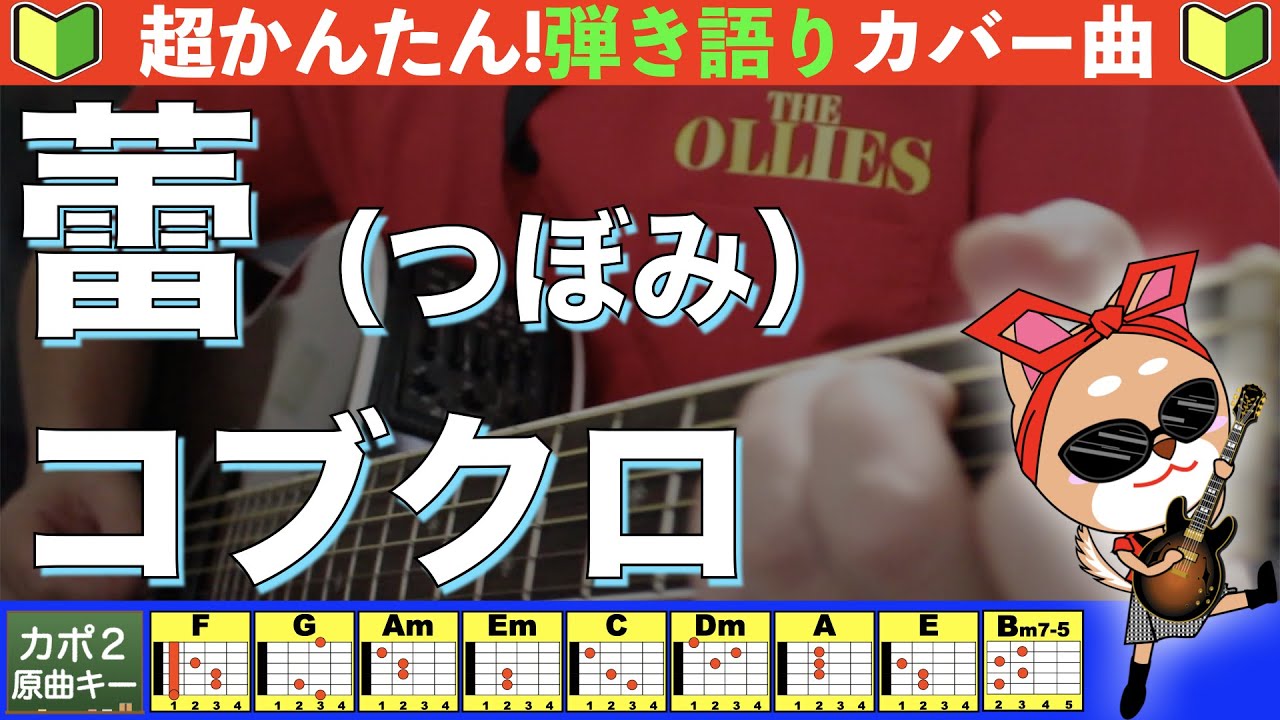 🔰【コード付き】蕾　/　コブクロ　弾き語り ギター初心者