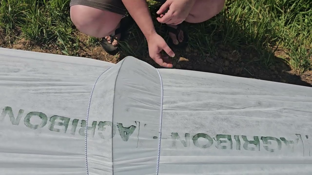 Экономное сельское хозяйство...