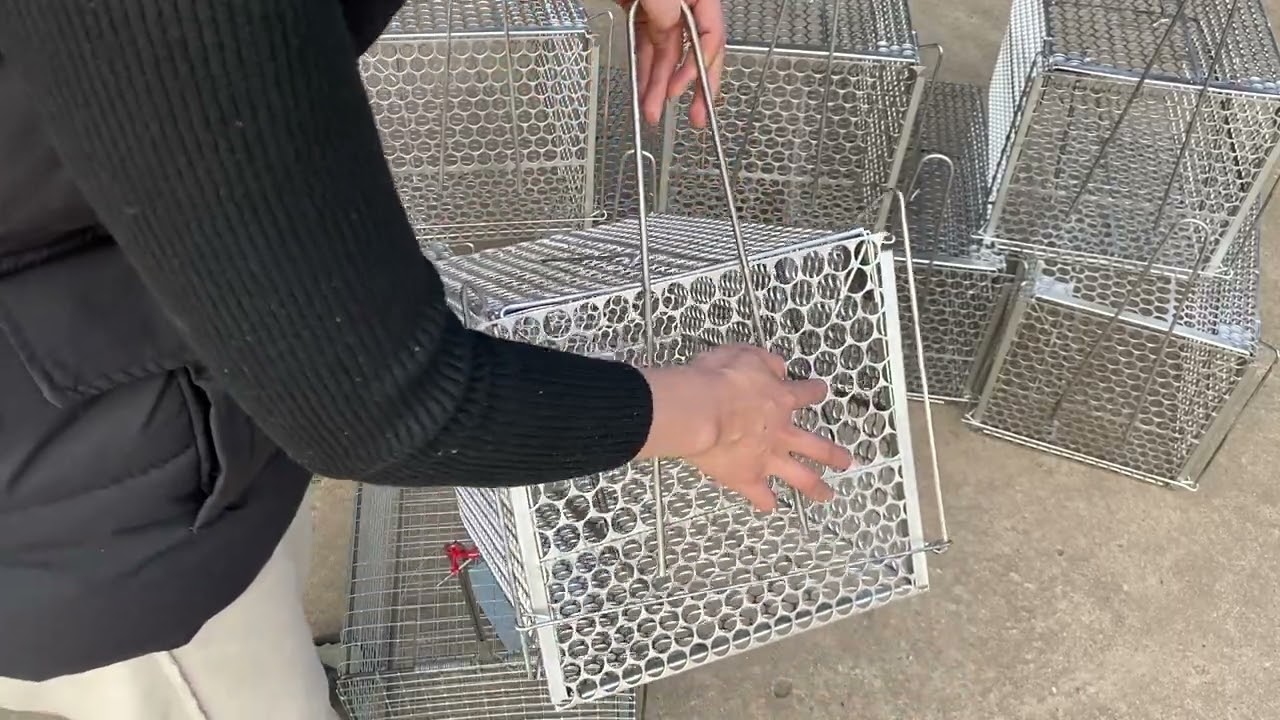 Báo giá lồng ô vuông và lồng đúc bẫy mèo,chồn,cáo,sóc tới 8kg,chắc,bền,ko rỉ.lh0862655889#lồngbẫymèo