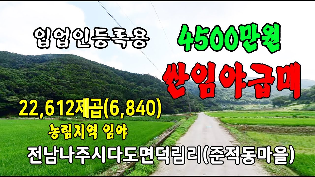 🏕22-68[전남나주시지역임야][다도면덕림리싼임야]🏞덕림저수지아래,준적동마을,방산보건진료소,나주시양로원,농림지역임야(6,840py)매매~