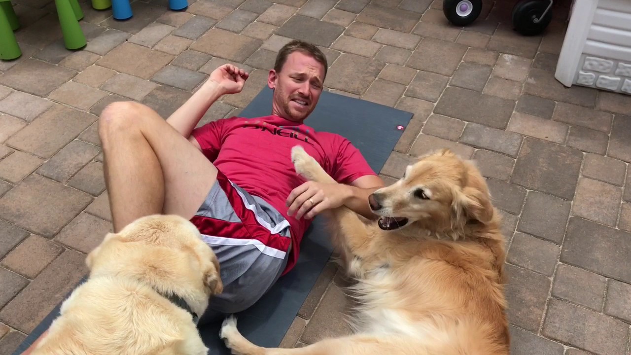 Dogs Helping with Yoga