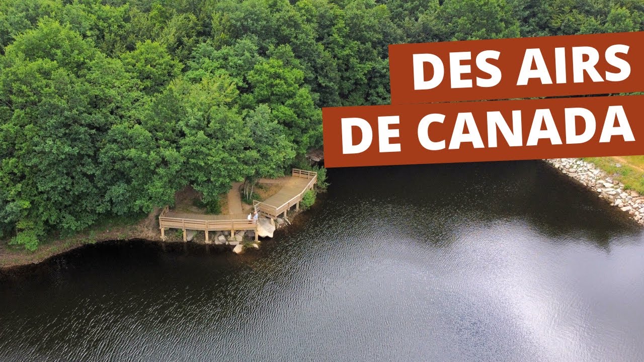 EP12 - CARCASSONNE & LA MONTAGNE NOIRE EN VAN 🚐