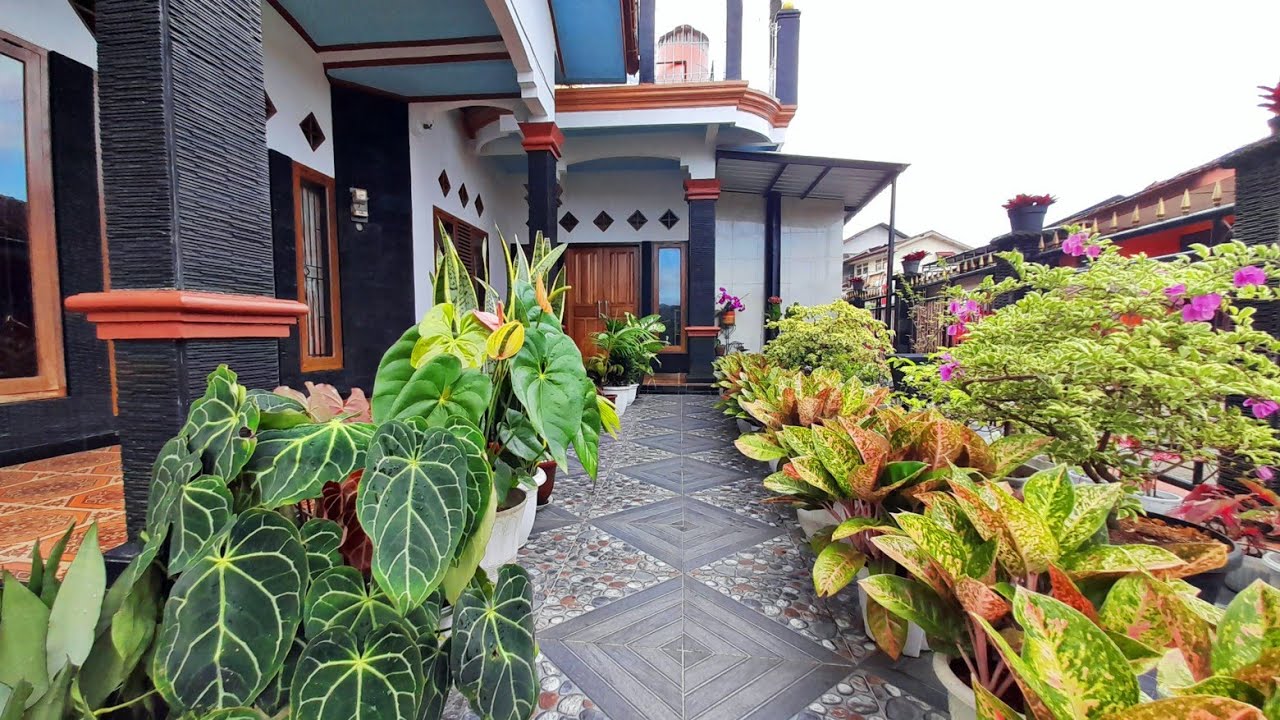 SURGA DI TENGAH HUTAN🏡 BEGINI KONDISI TERBARU RUMAH VIRAL yg 6 BULAN LALU KITA GREBEK.. SEMAKIN JOSS