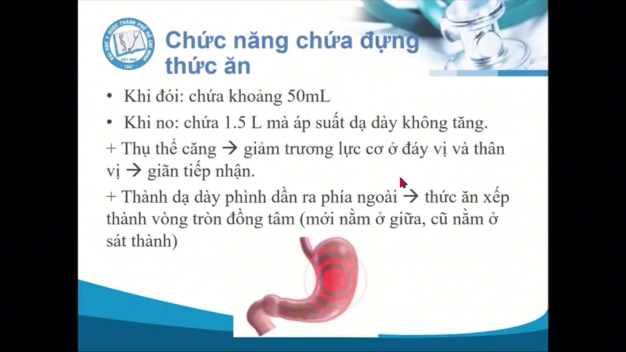 Sinh lý HỆ TIÊU HOÁ YDS 2025 - Ts.Bs. Đặng Huỳnh Anh Thư
