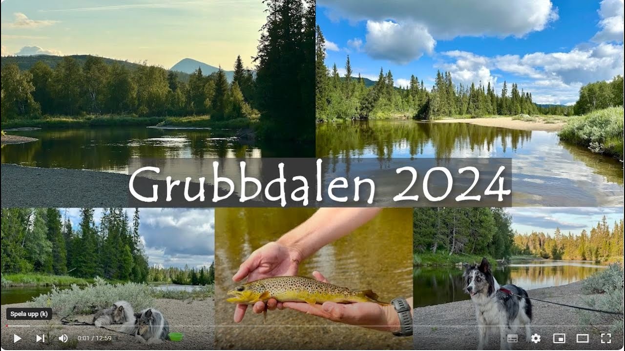 Grubbdalens Naturreservat 2024
