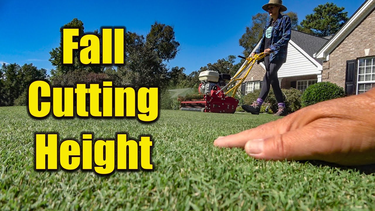Fall Bermuda Lawn Cutting Height