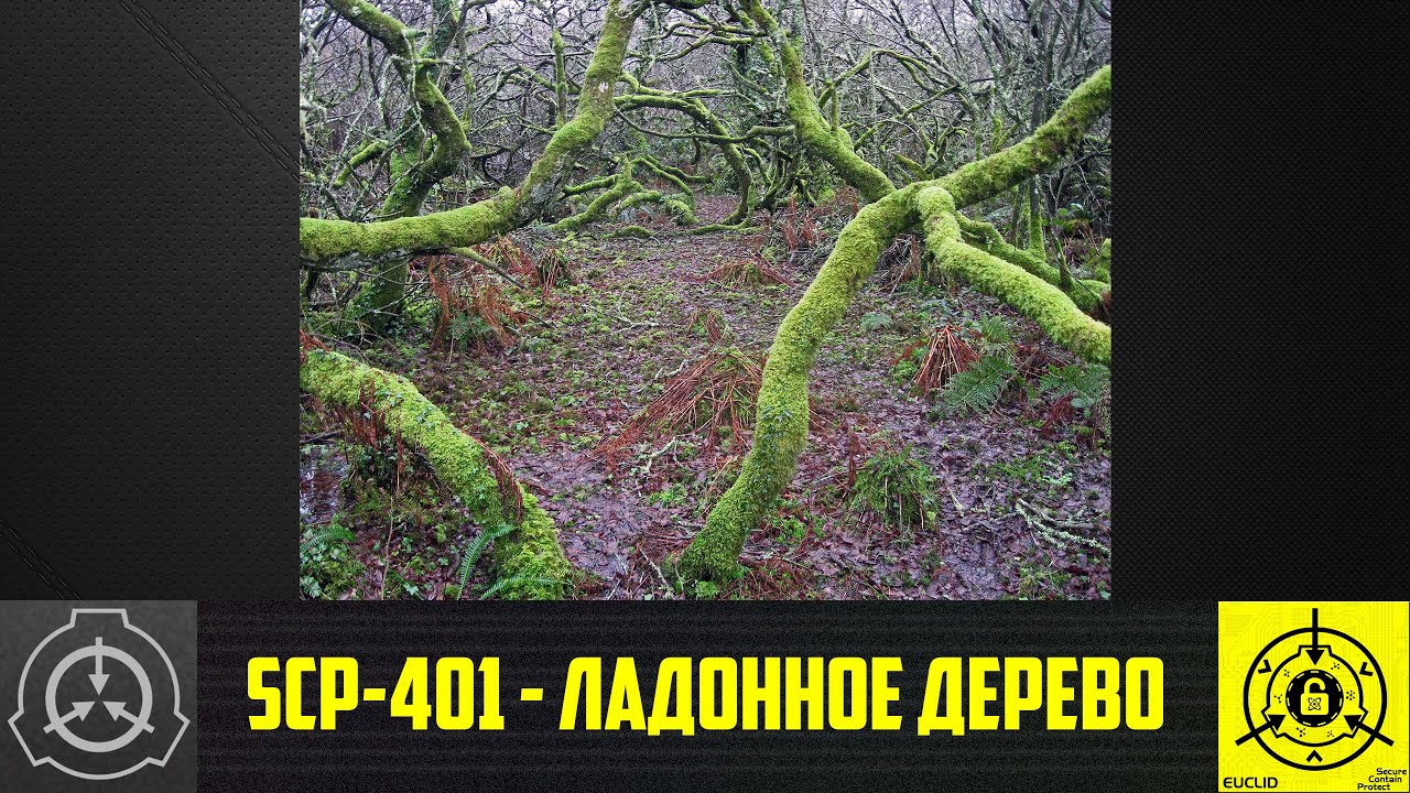 SCP-401 - Ладонное дерево   【СТАРАЯ ОЗВУЧКА】