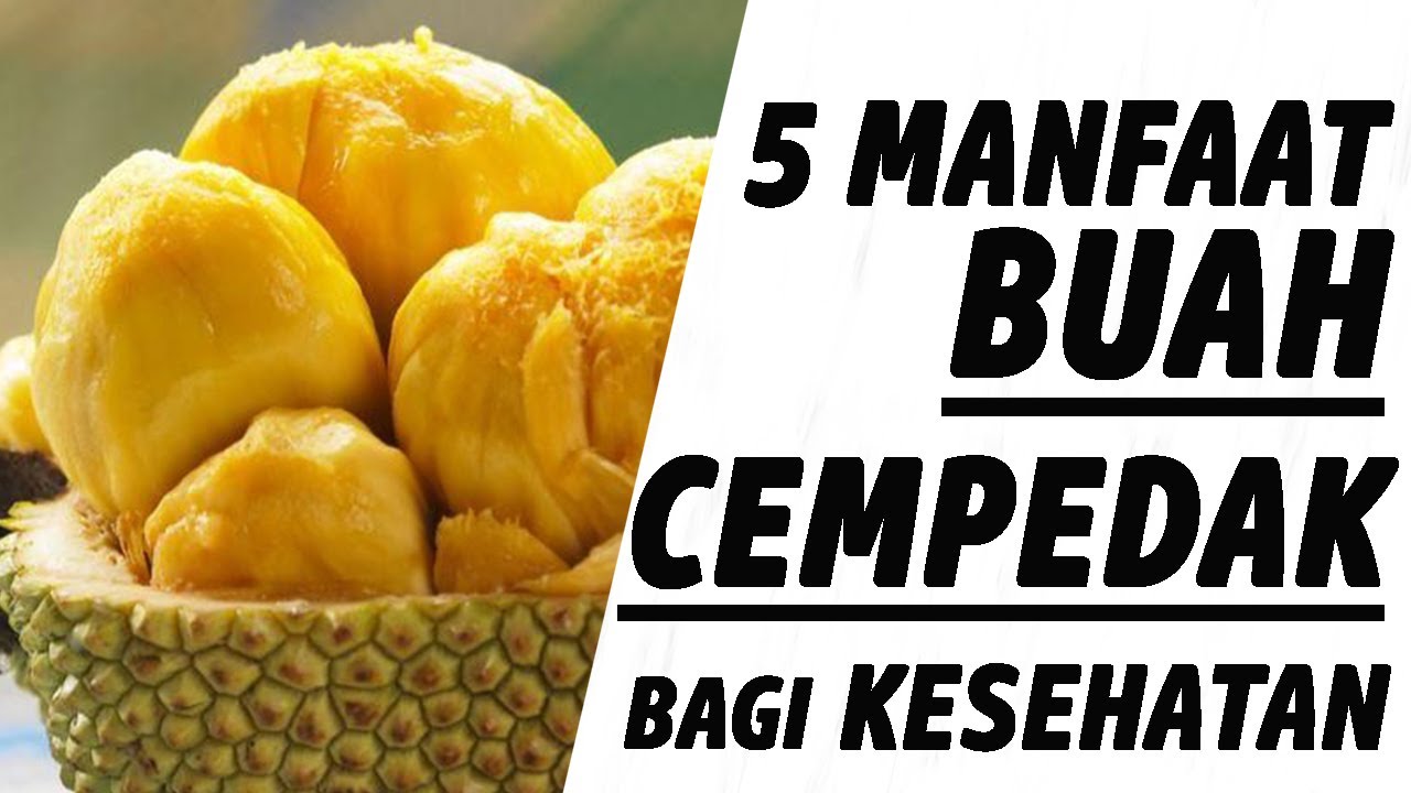 5 BENEFITS OF CEMEDAK FRUIT FOR HEALTH
