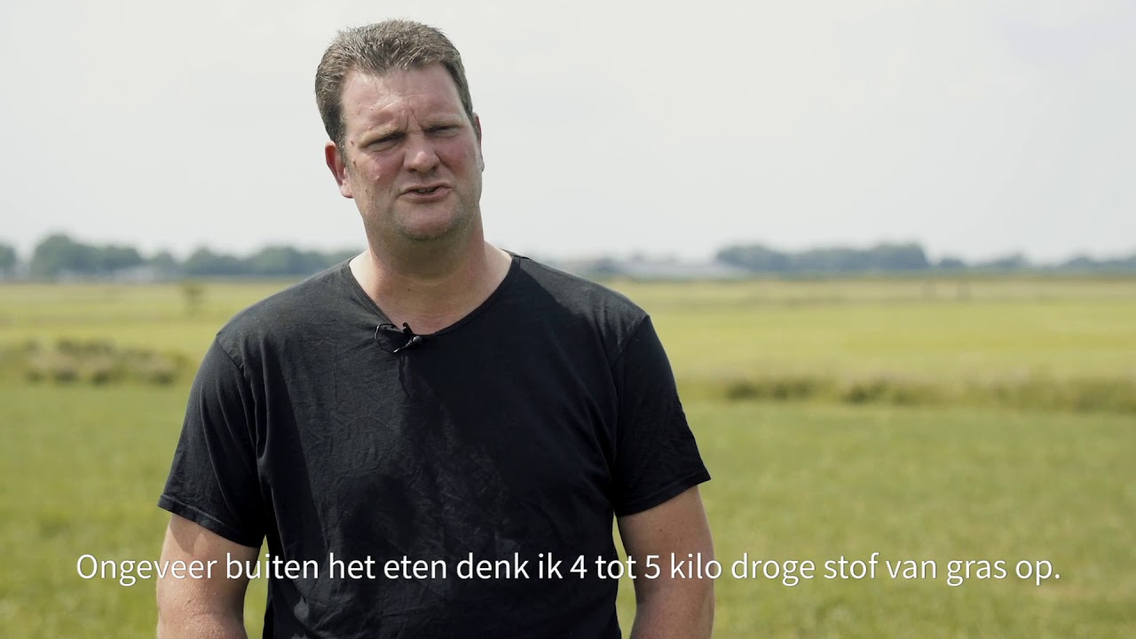Arjan Coppelmans: maximale grasbenutting door weidegang en zomerstalvoeren | Reken op Ruwvoer