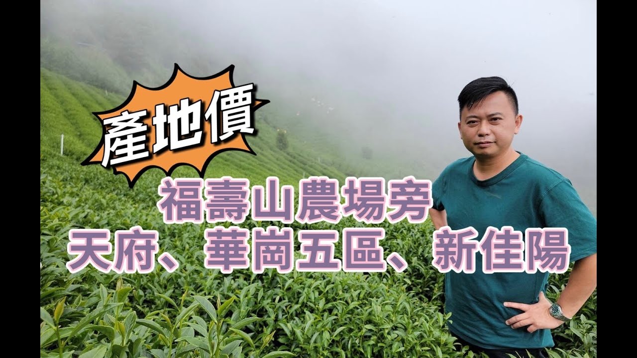 梨山茶｜教你如何泡好茶｜你會拿壺泡茶，只是懂一半而已｜懂茶性，才能真正把茶泡好｜茶葉本身的個性不同，泡茶方式就該不同｜福壽山農場旁、天府、華崗五區、新佳陽 烏龍茶