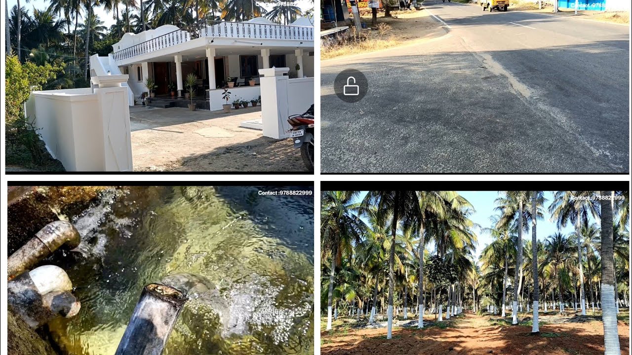 அழகிய வீட்டுடன் தென்னை, கோவை டூ உடுமலை மெயின் ரோடு, @veeraiyanrealestate6847