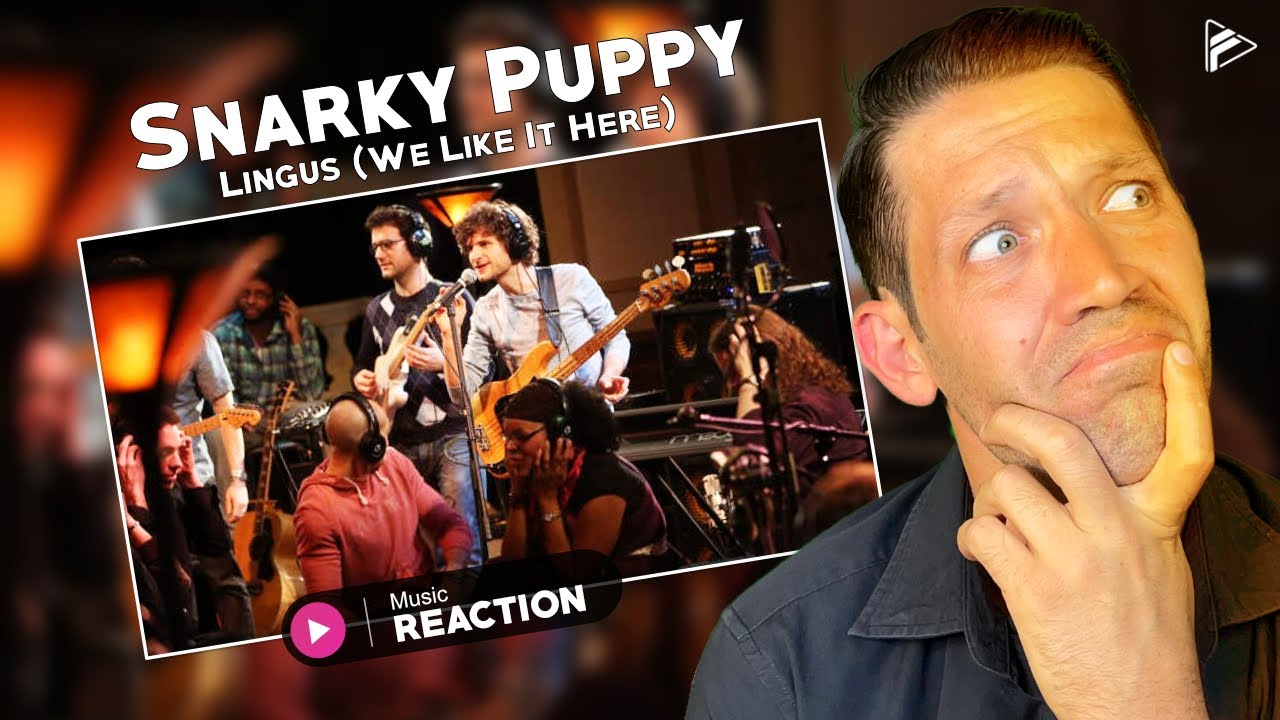 Snarky Puppy - Lingus (We Like It Here) Reaction