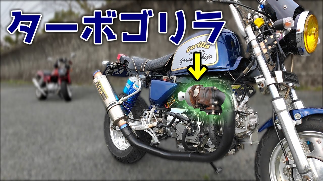 【視聴者さん】中華エンジン125をターボ化したゴリラを紹介