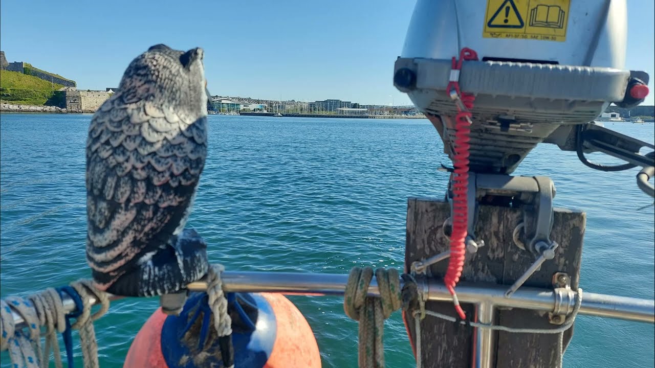 Westerly Longbow Tzu goes single handed from the Solent to Fowey.  Tzu's Odyssey part 1 of 3