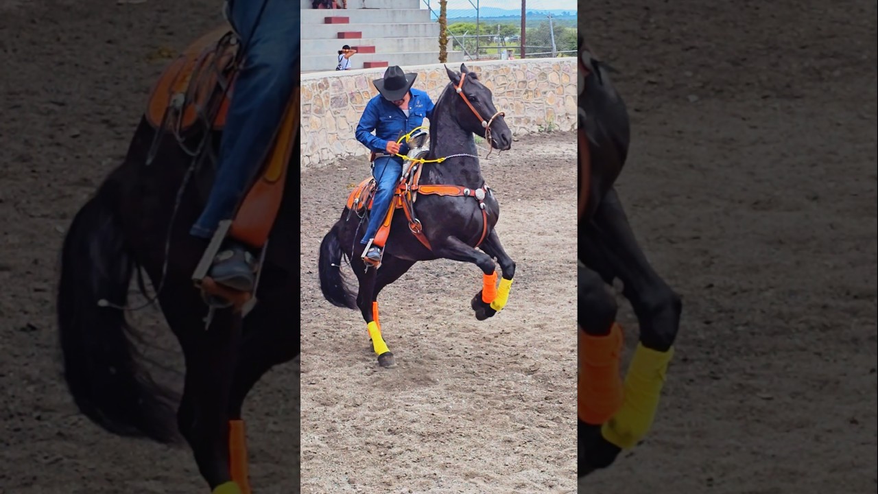 CABALLO BAILADOR:DESFILE DE LAS FIESTAS PATRIAS UNI&Oacute;N DE SAN ANTONIO 2024|🇲🇽 Horse dancing #shorts