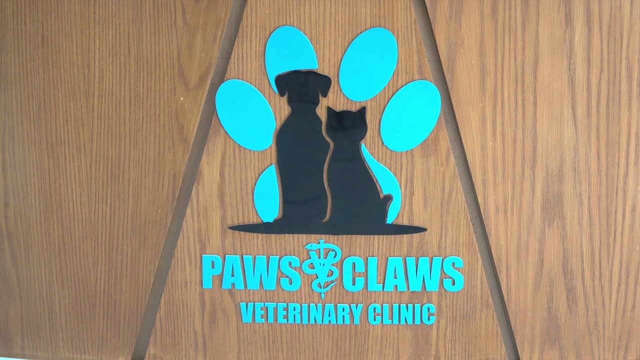 PAWS AND CLAWS SPECIALIST VETERINARY CLINIC RIYADH (PCVC)