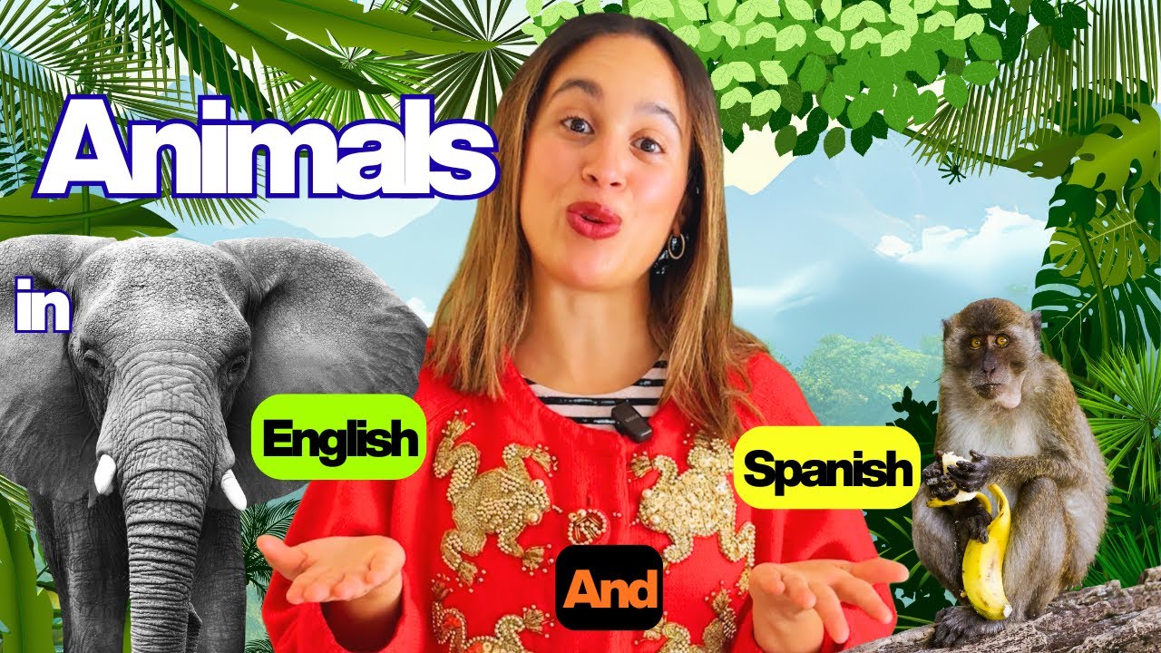 Learn Jungle Animals in English and Spanish | Bilingual Learning for Toddlers