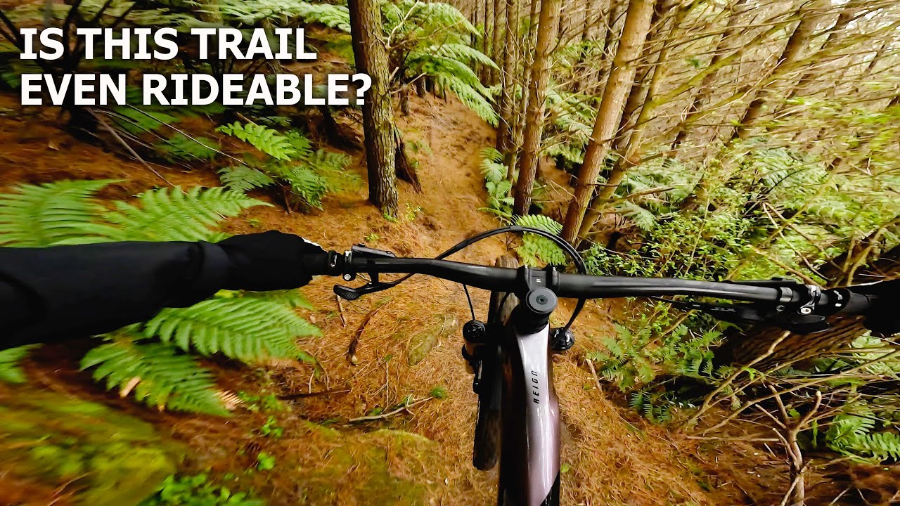 Barely Rideable | ULTRA ROSA Grade 6 Trail @ Redwoods Rotorua