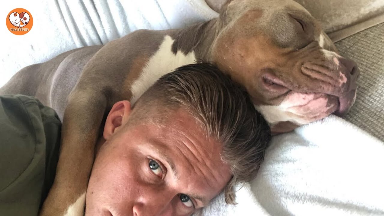 They Thought He Was Too Much—This Clingy Dog Proved Them Wrong