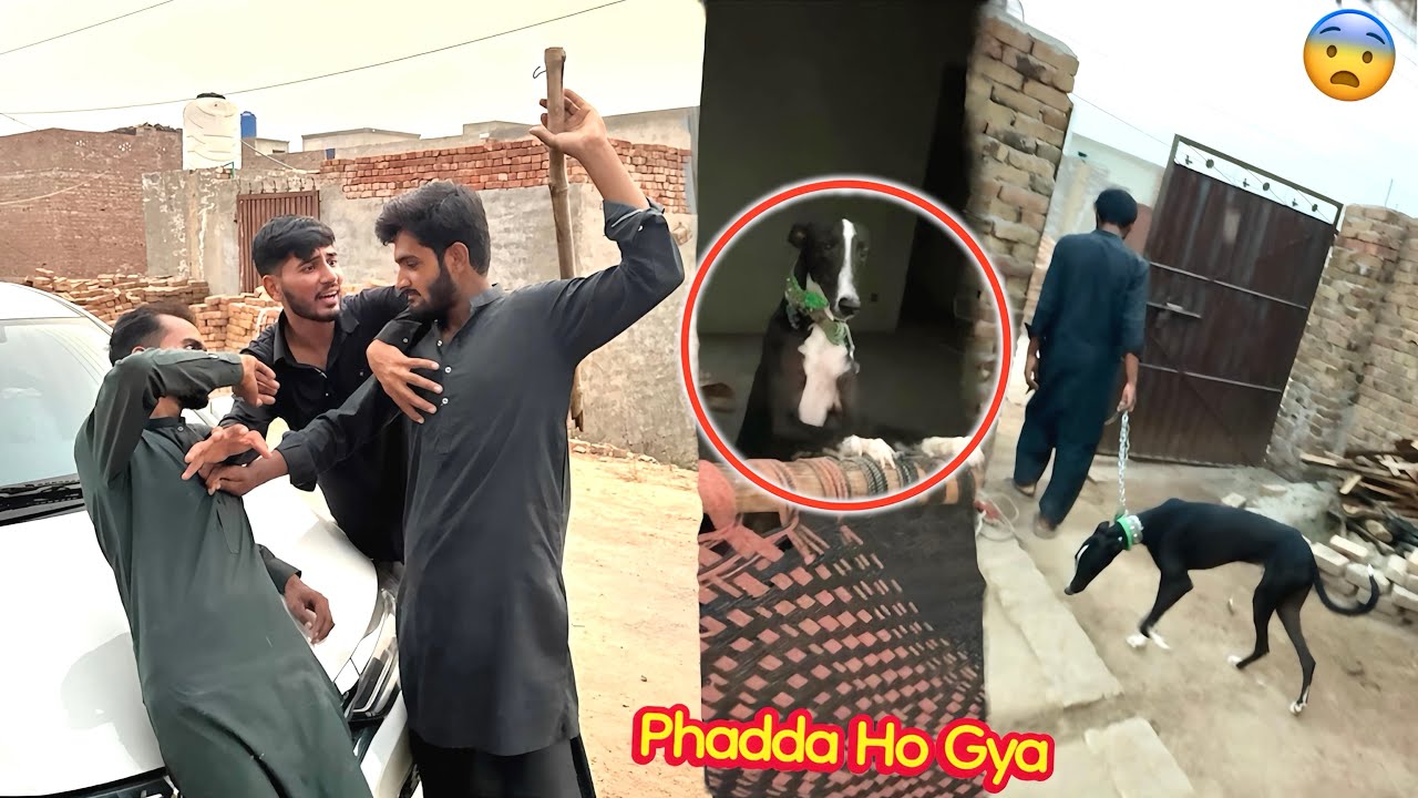 ARBAB APNA SHIKARI DOG LANY AA GYA😨 PHADDA HOGYA💔