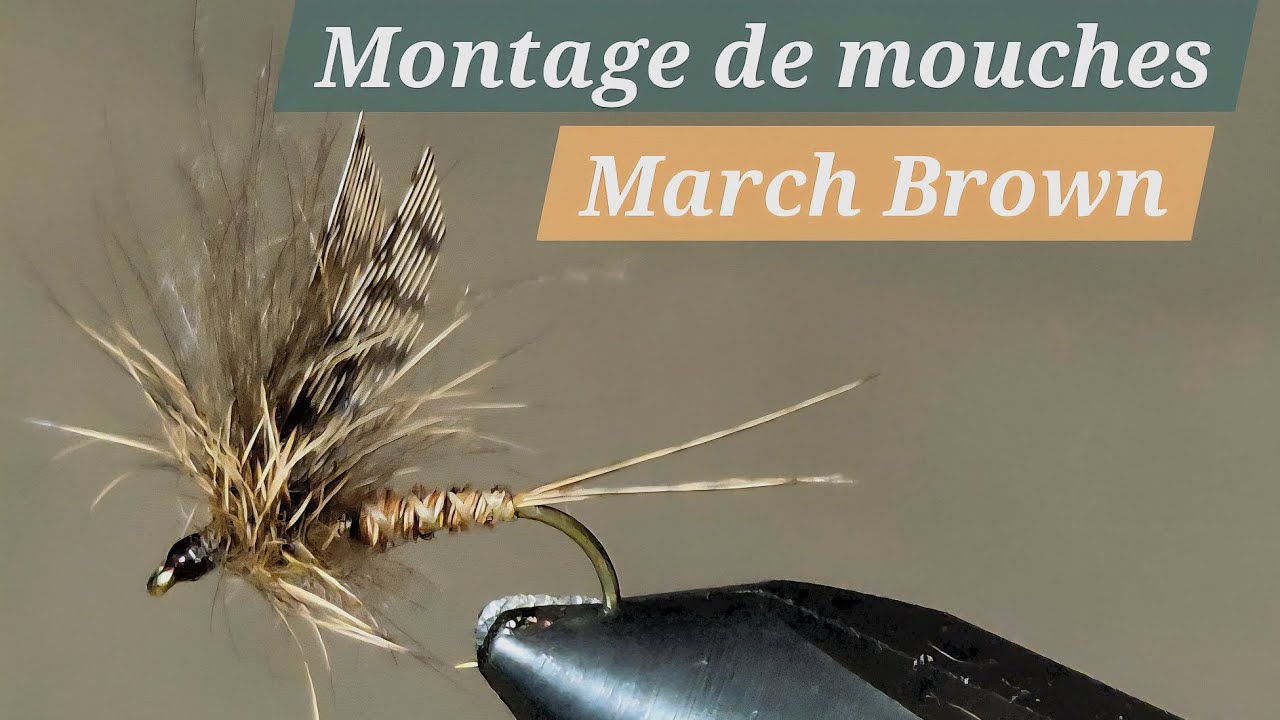 Pêche truite : montage mouche march brown 