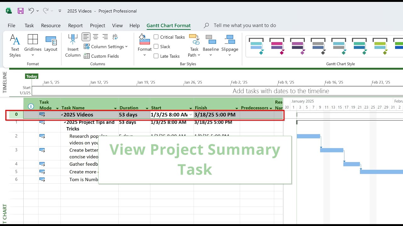 Understanding the Project Summary Task in MS Project 2025