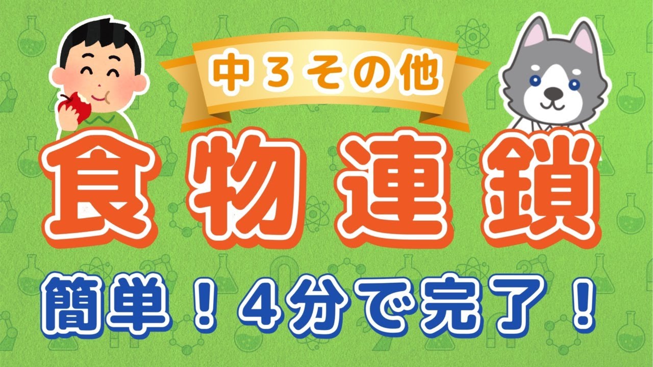 中3理科『食物連鎖』