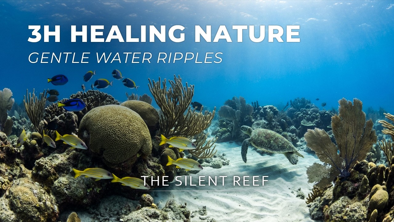 The Silent Reef | Immersive Ocean Floor & Tropical Fish | Sleep & Study