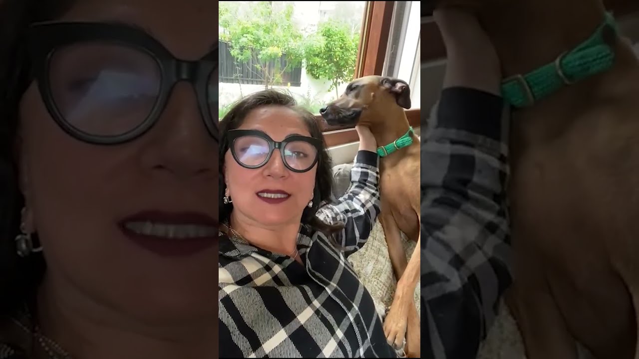 Barfood Deshidratado para Perros