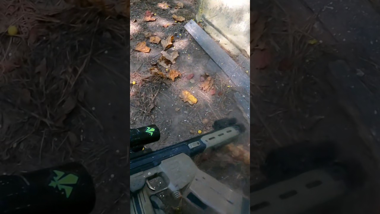 Whooping💥 #speedballers w/ my #EMF100 #MWR #Sniper using #FSR #paintball #highlights #gopro #scope 🎯
