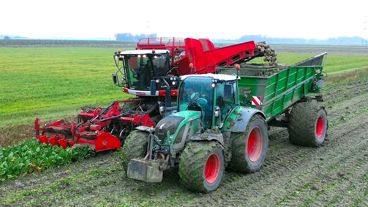 Bieten oogst met AGRIFAC Hexxact OptiTraxx door Loonb. Voshart & Veltman.