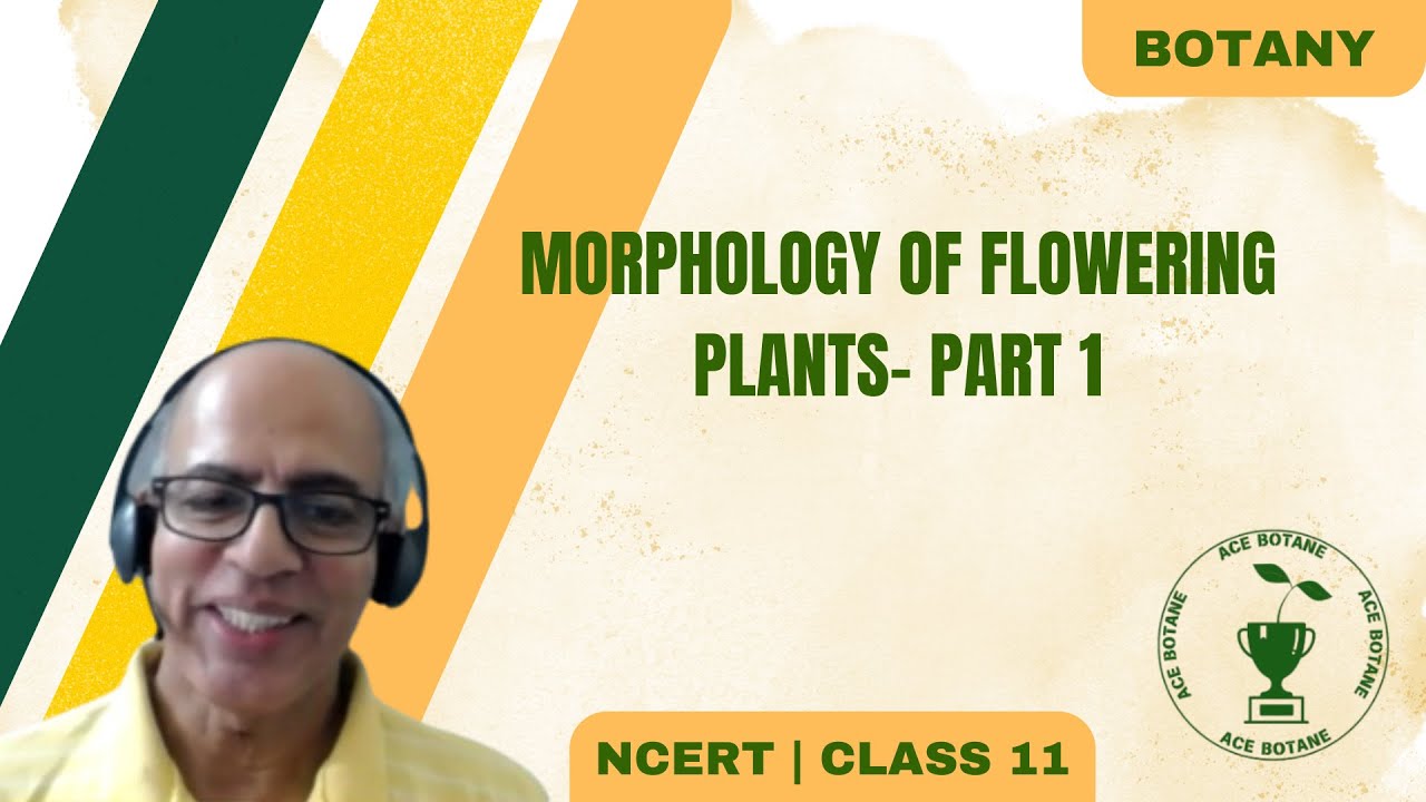 Morphology of Flowering Plants- Part 1| NEET 2025 #NEET2025 #botanybasics