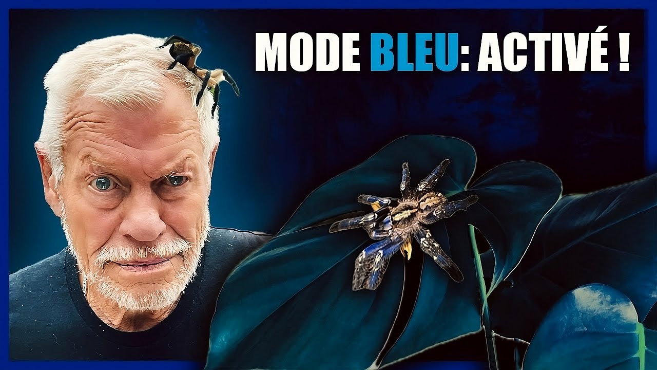 Le BLEU ! Leur PIRE CAUCHEMAR ! 🦋