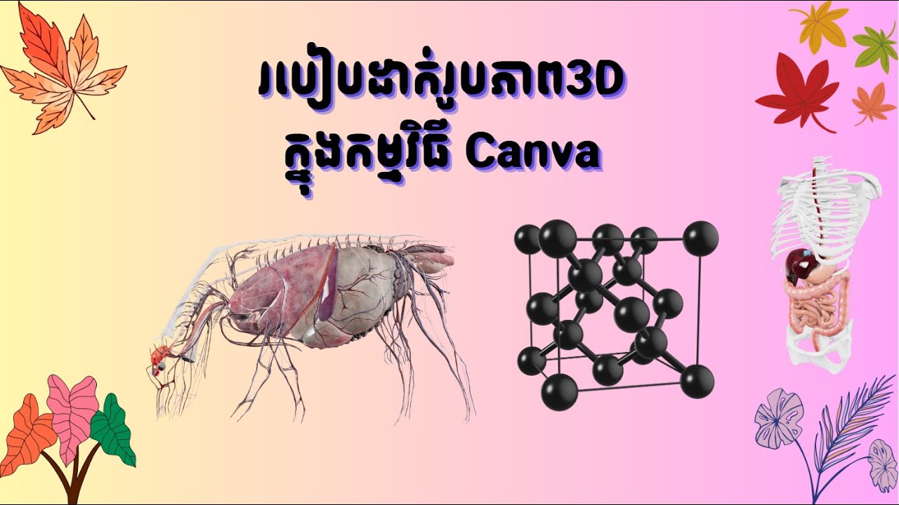 របៀបដាក់រូបភាព 3D ក្នុងកម្មវិធី Canva