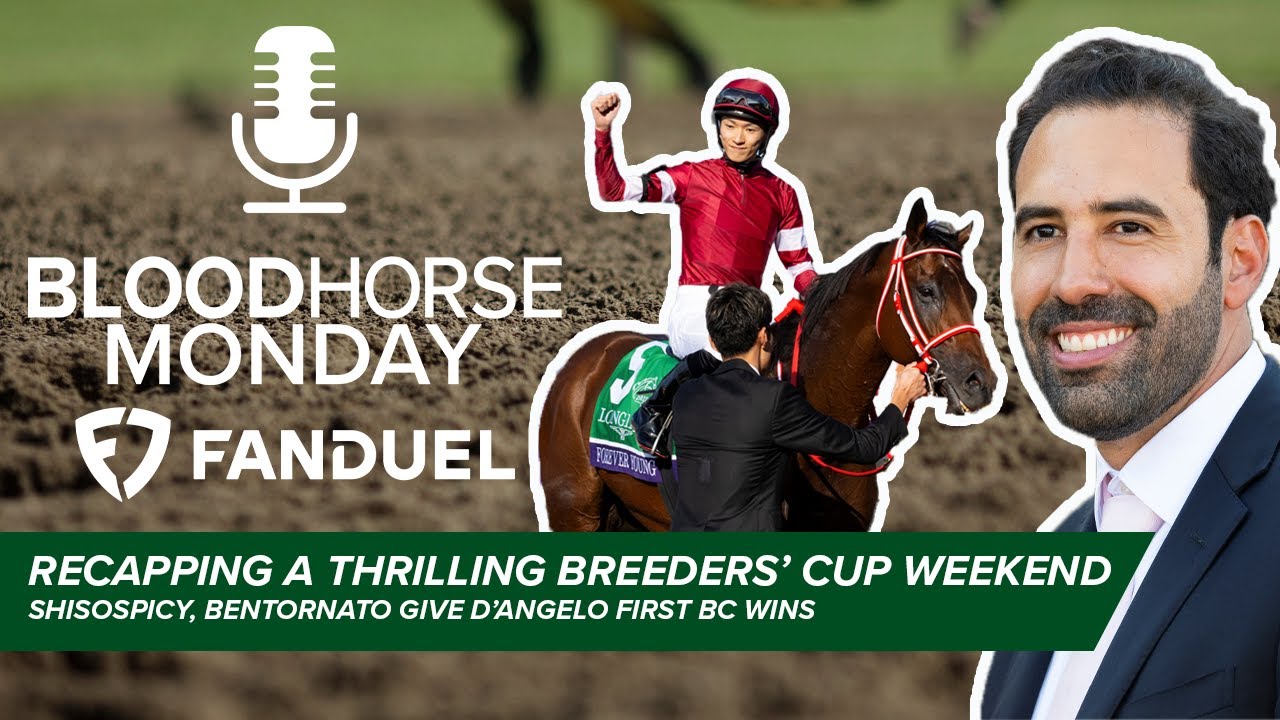 Recapping Breeders' Cup, D'Angelo Accomplishes Dream with 2 Wins | BloodHorse Monday | E040