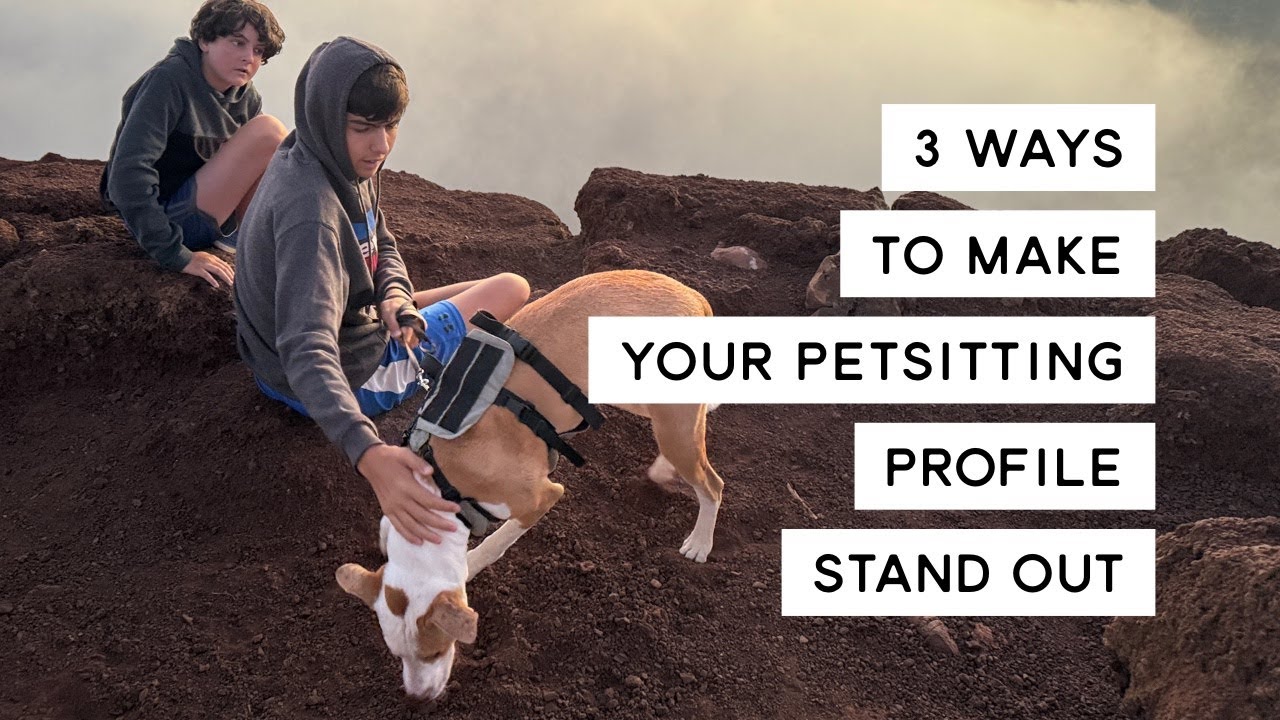 Maximizing Your Housesitting Profile on Trusted Housesitters