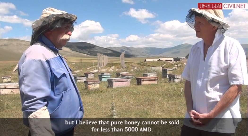 Թիմը գնում է մեղր ուտելու | Straight to Honey Producers