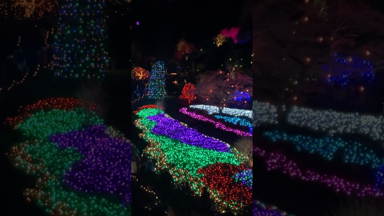Christmas Lights At The Butchart Gardens, Victoria, BC, Canada, 2023