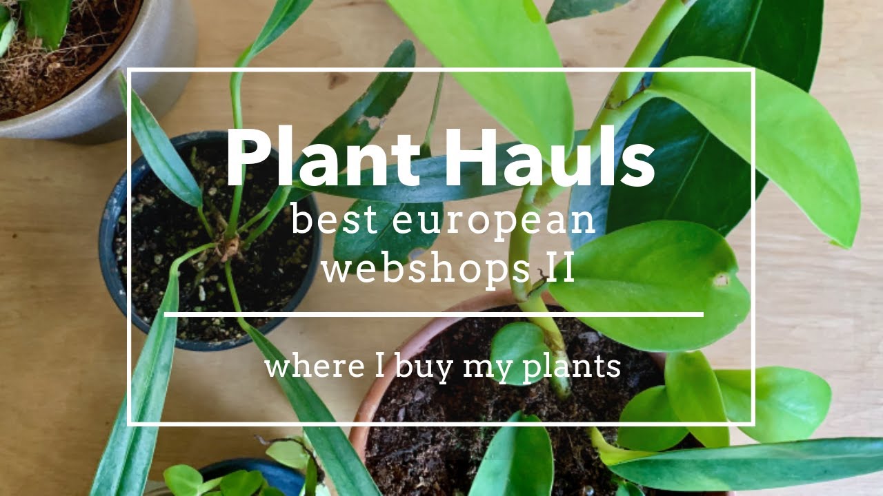 plant haul european webshops  - my new discoveries