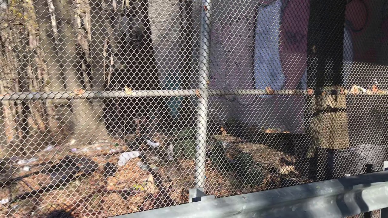 Abandoned 1900s Franklin Avenue Shuttle Entrance (READ DESCRIPTION!!!!)
