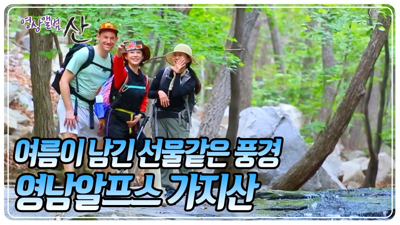 ⛰️🌲여름이 남긴 선물같은 풍경~ 영남알프스의 최고봉, 해발 1,241m의 가지산 [영상앨범 산] KBS 250928 방송